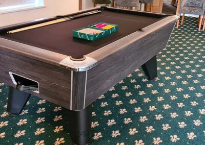 Gallery - Pool Table - Rob Read Snooker